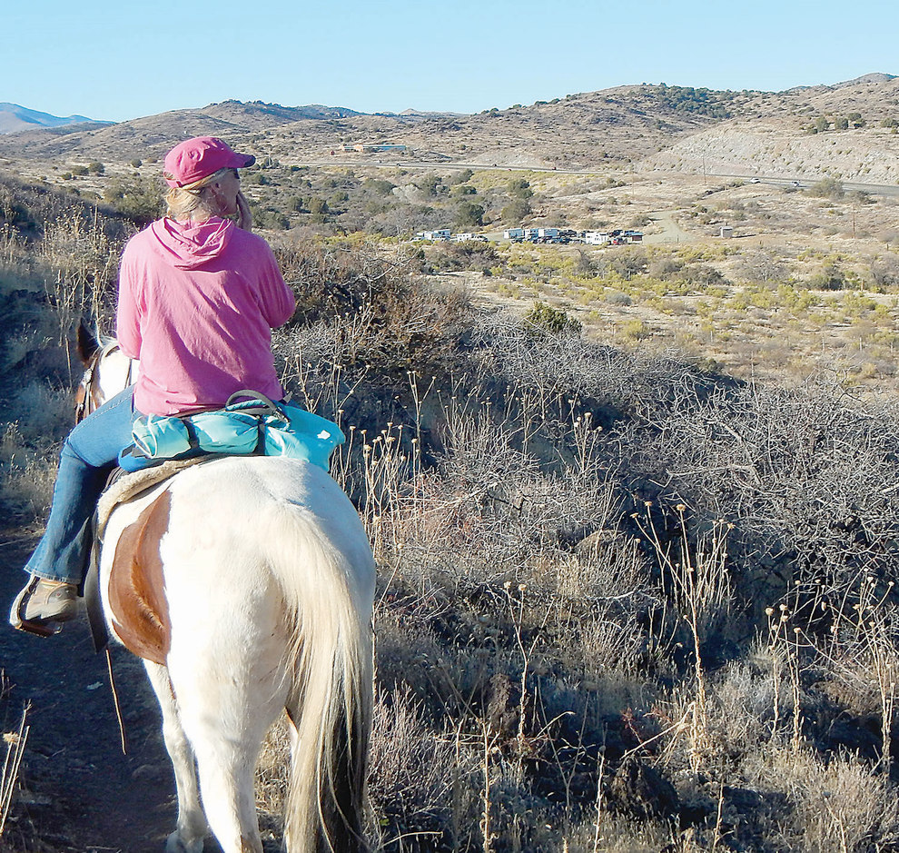 Christina McCarty scouring the area for missing dog Khonsu. Photo courtesy Rita Thompson-Tinsley.