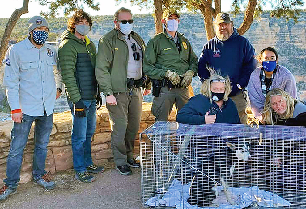 Eric Neitzel, back right, of Fireground Drone Works, with a group of volunteers who recently rescued a dog at the Grand Canyon