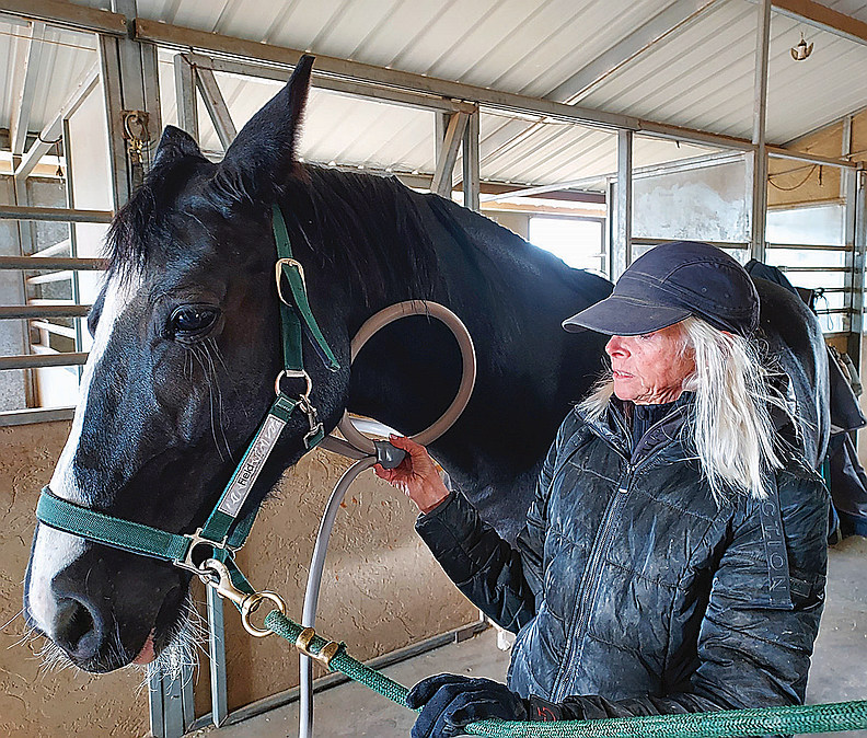 Creature Comforts: Today's Equine Therapies – Theprescottdog